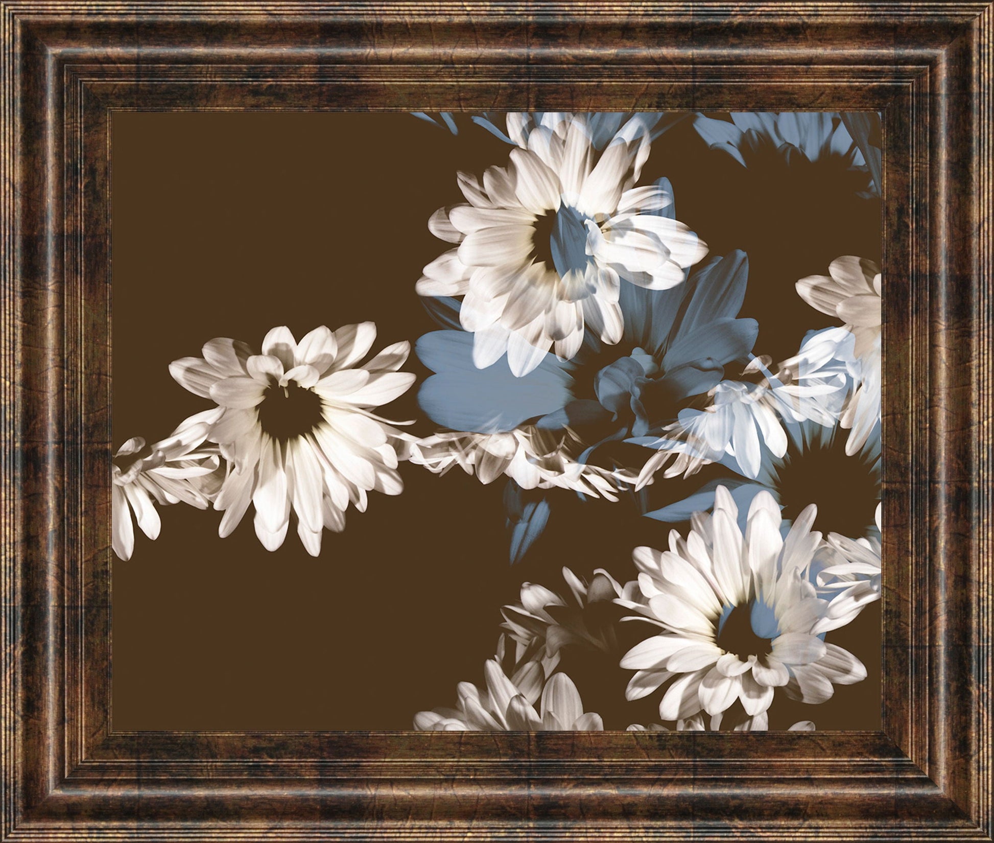 Chocolate Bloom Il By A. Project Framed Print Wall Art - Dark Brown Classy Art