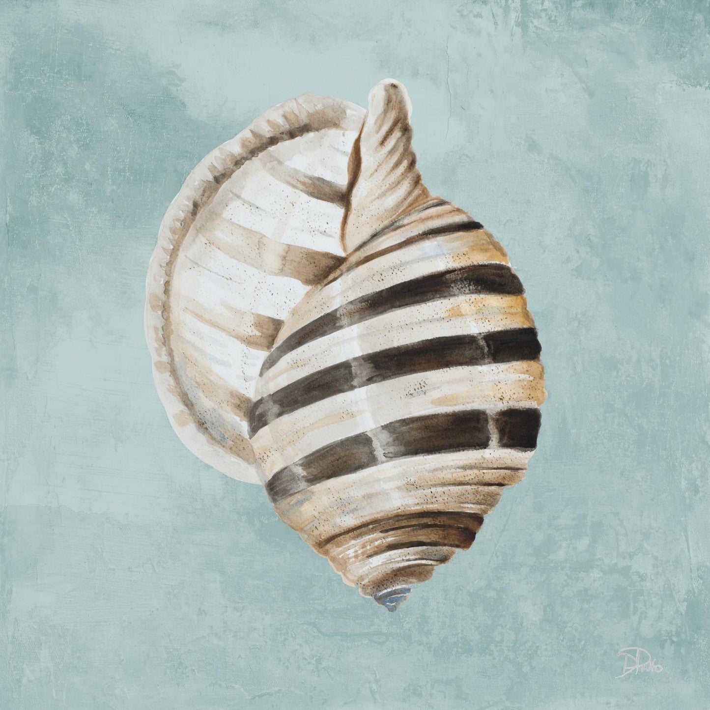 Small - Modern Shell On Teal I By Patricia Pinto - Blue Classy Art