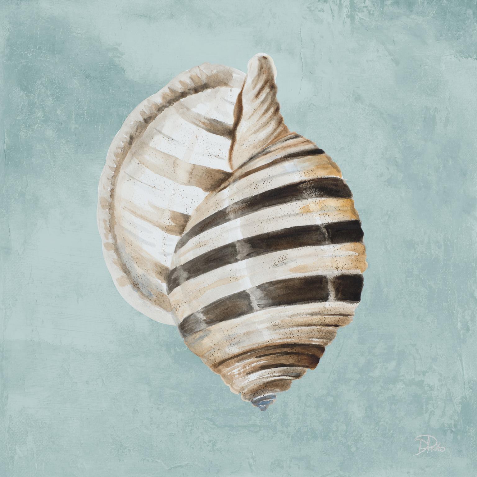 Modern Shell On Teal I By Patricia Pinto - Light Blue Classy Art