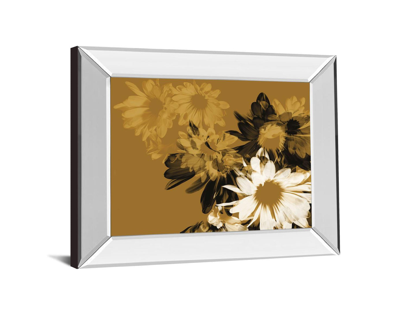 Golden Bloom Il By Mirror Framed Print Wall Art - Dark Brown Classy Art