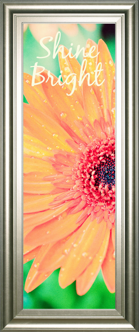 Shine Bright Daisy By Susan Bryant - Framed Print Wall Art - Orange Classy Art