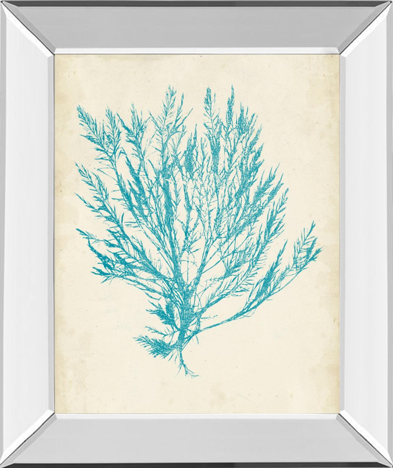 Aquamarine Seaweed IV By Vision Studio - Light Blue Classy Art