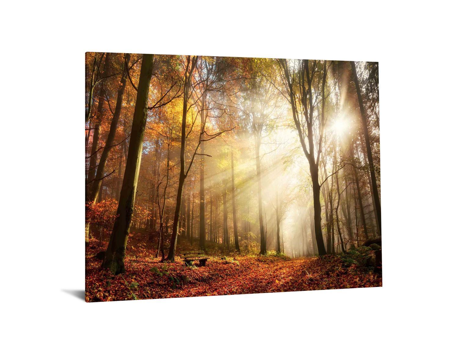 Floating Tempered Glass With Foil Forest In Sunshine - Light Brown Classy Art