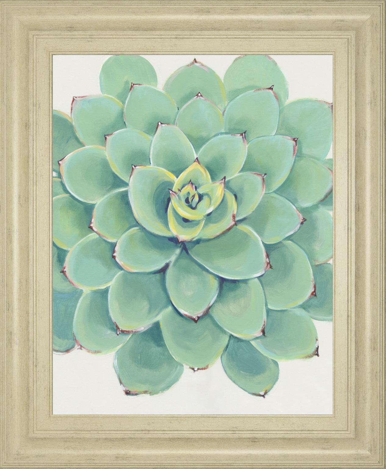 22x26 Pastel Succulent III By Tim OToole - Green Classy Art