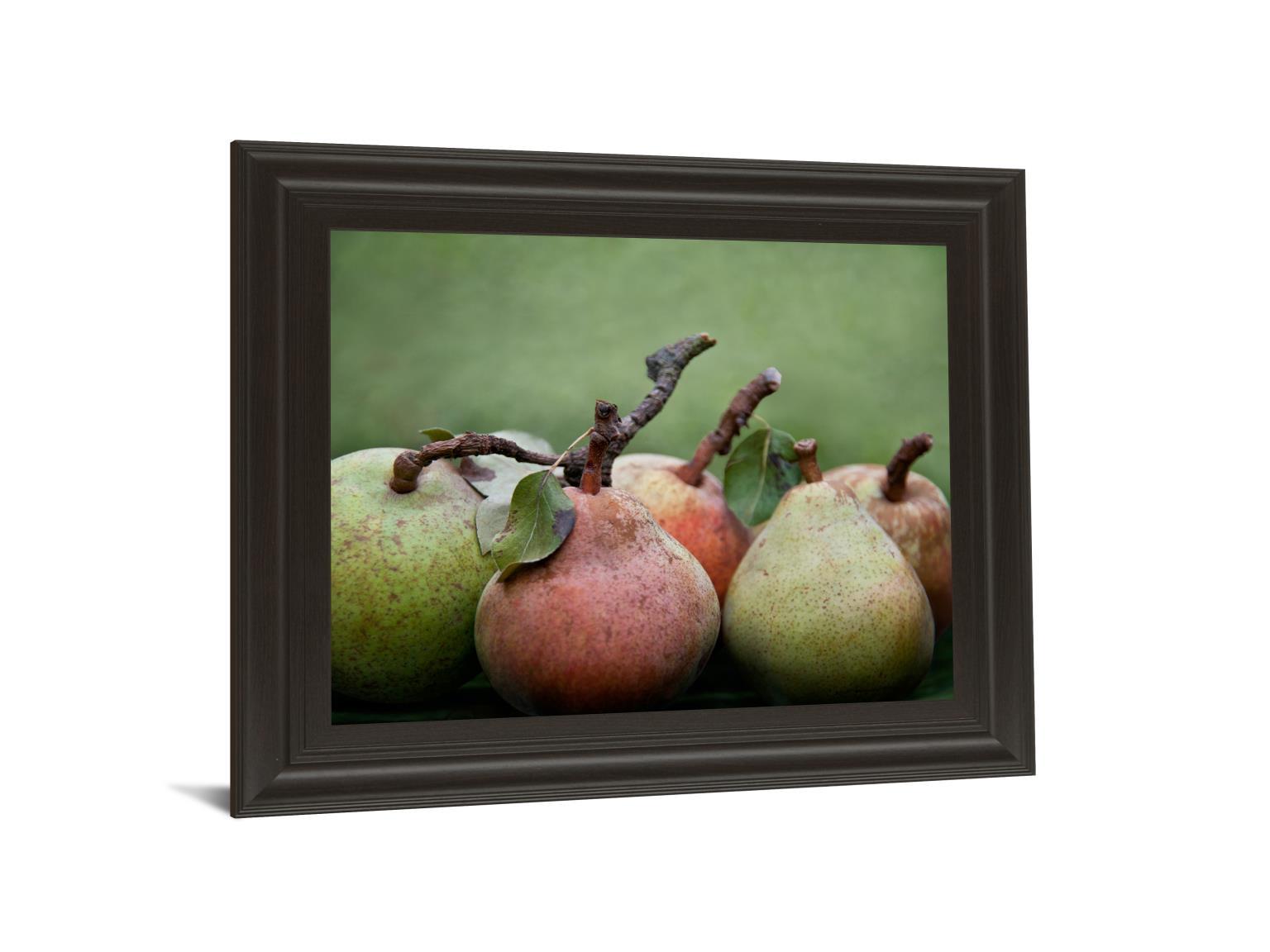 Comice Pear I By Rachel Perry - Framed Print Wall Art - Green Classy Art