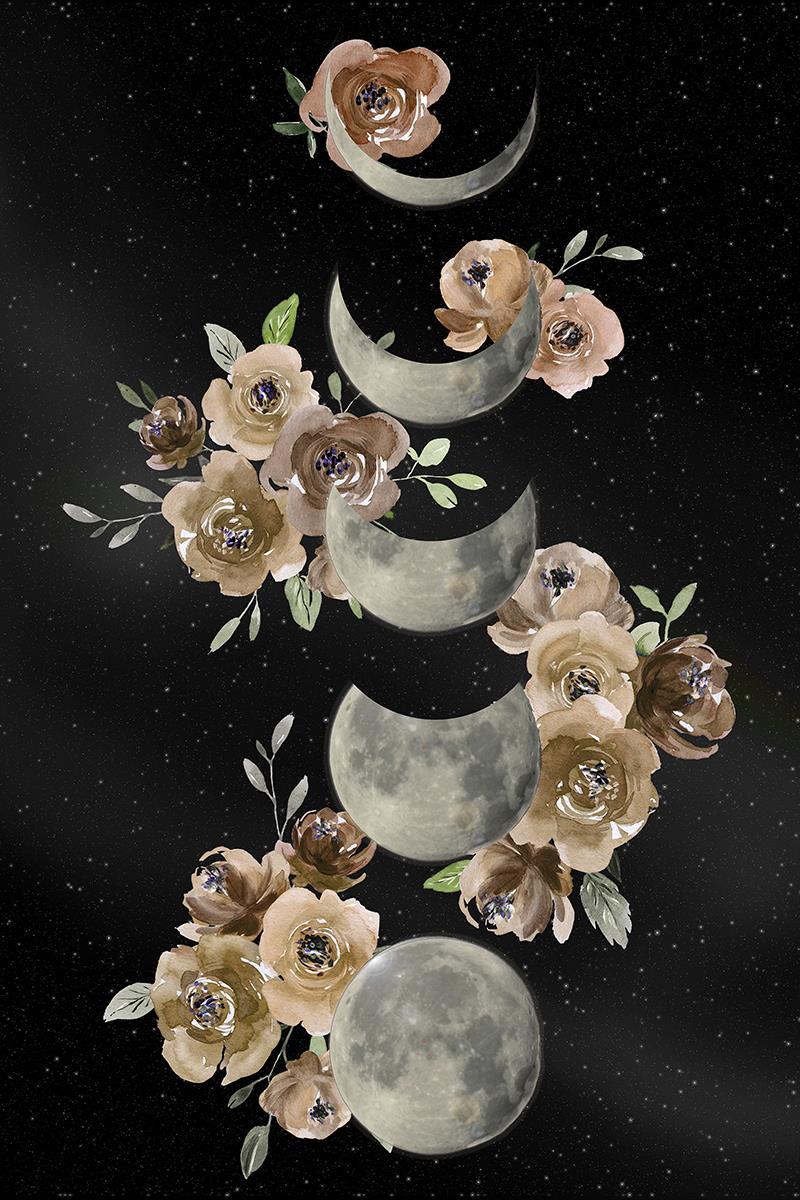 Bohemian Lunar Phases By Daniela Santiago - Black Classy Art