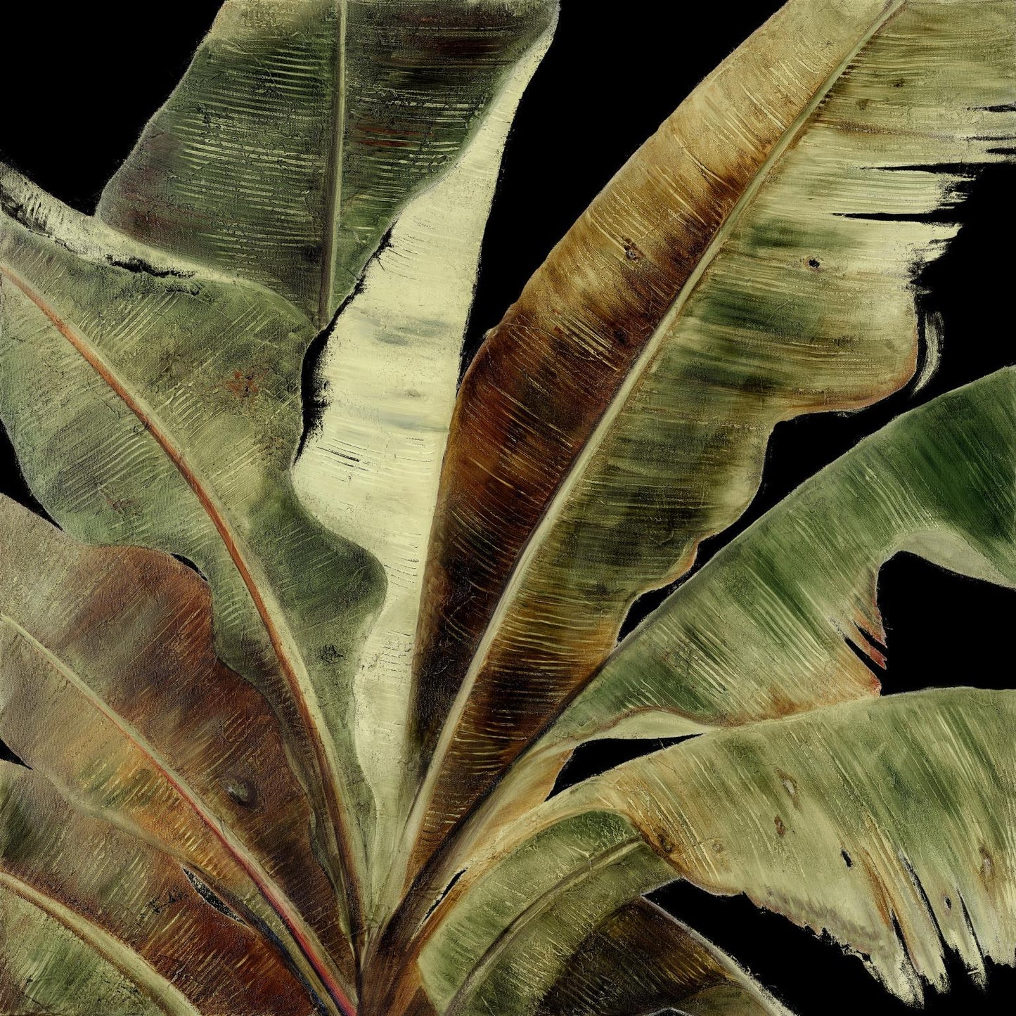 Uraba Palm On Black I By Patricia Pinto (Small) - Green Classy Art