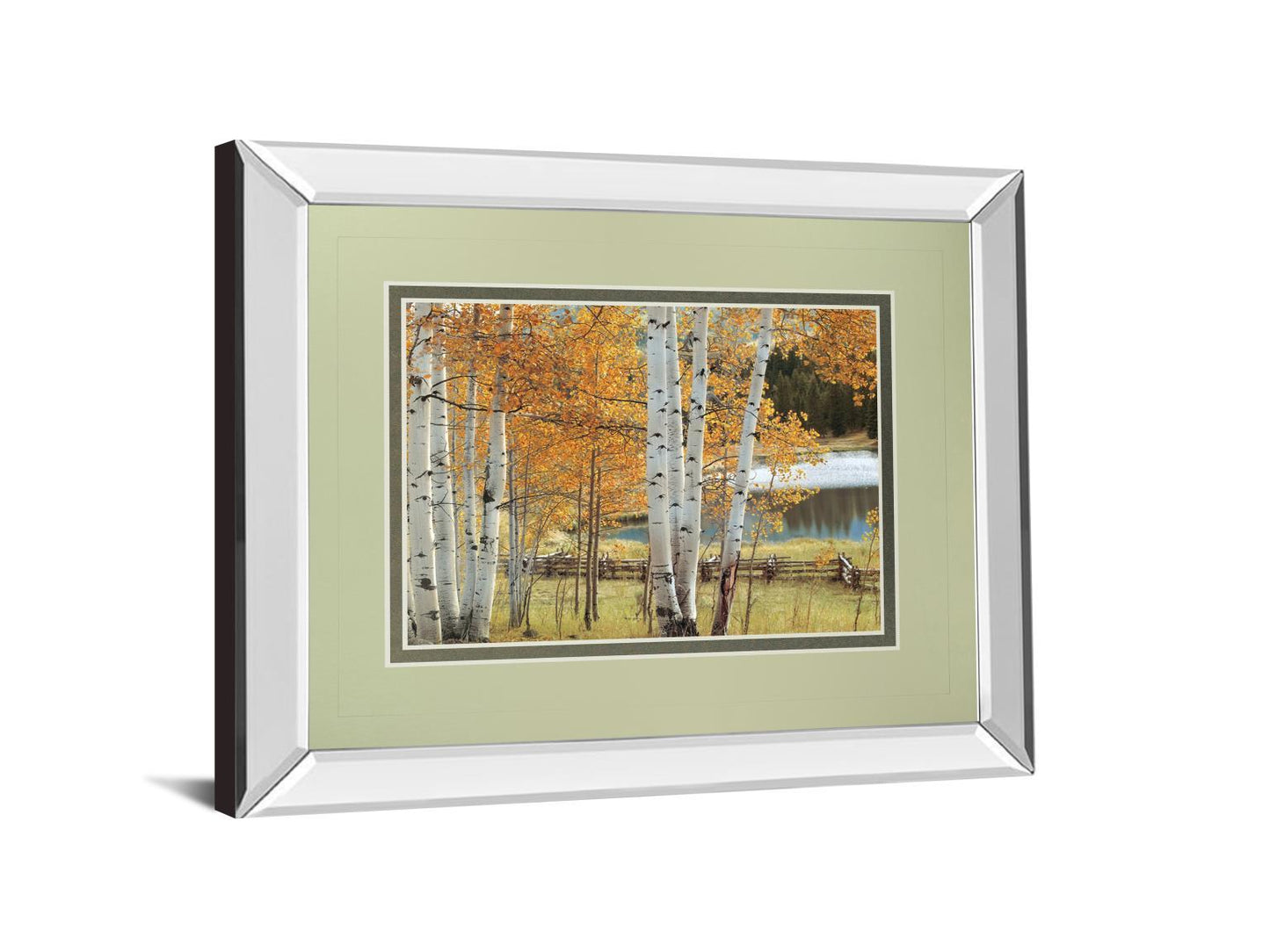 Birch Beauty By Mike Jones - Mirror Framed Print Wall Art - White Classy Art