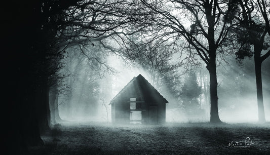 The Shed By Martin Podt - Dark Gray Classy Art