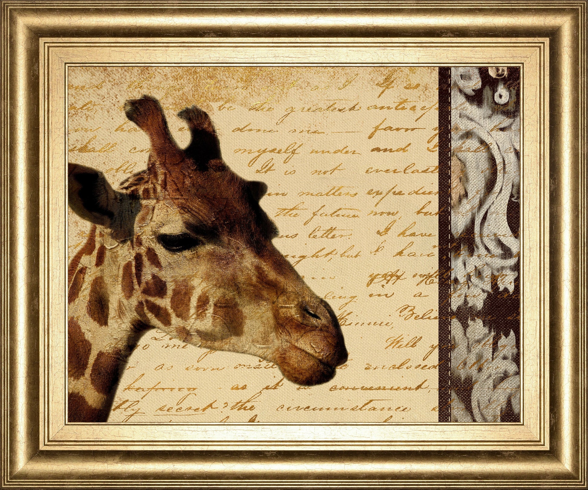 Madagascar Safari I By Patricia Pinto - Framed Print Wall Art - Beige Classy Art