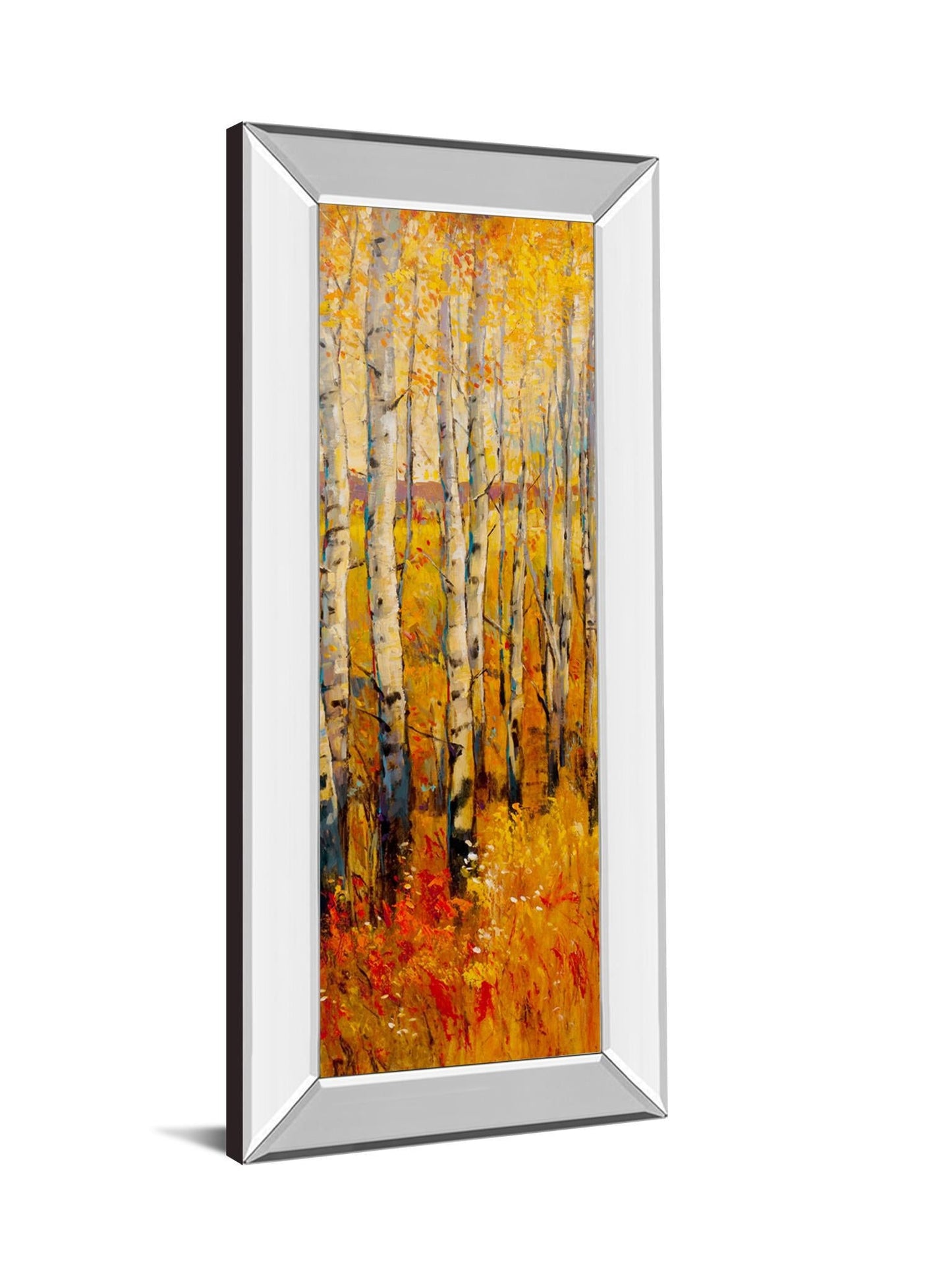 Vivid Birch Forest Il By Tim Otoole - Mirror Framed Print Wall Art - Orange Classy Art