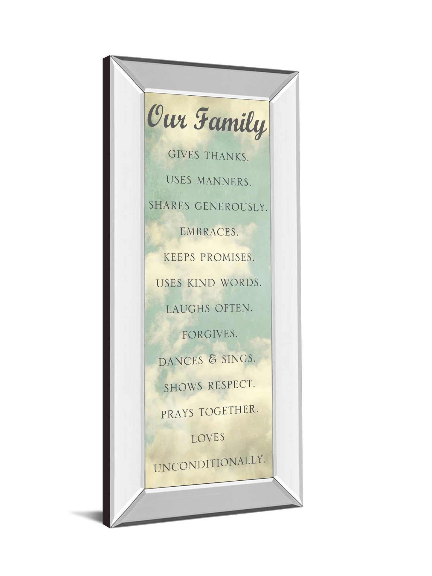 Our Family By Sarah Gardner - Mirror Framed Print Wall Art - Blue Classy Art