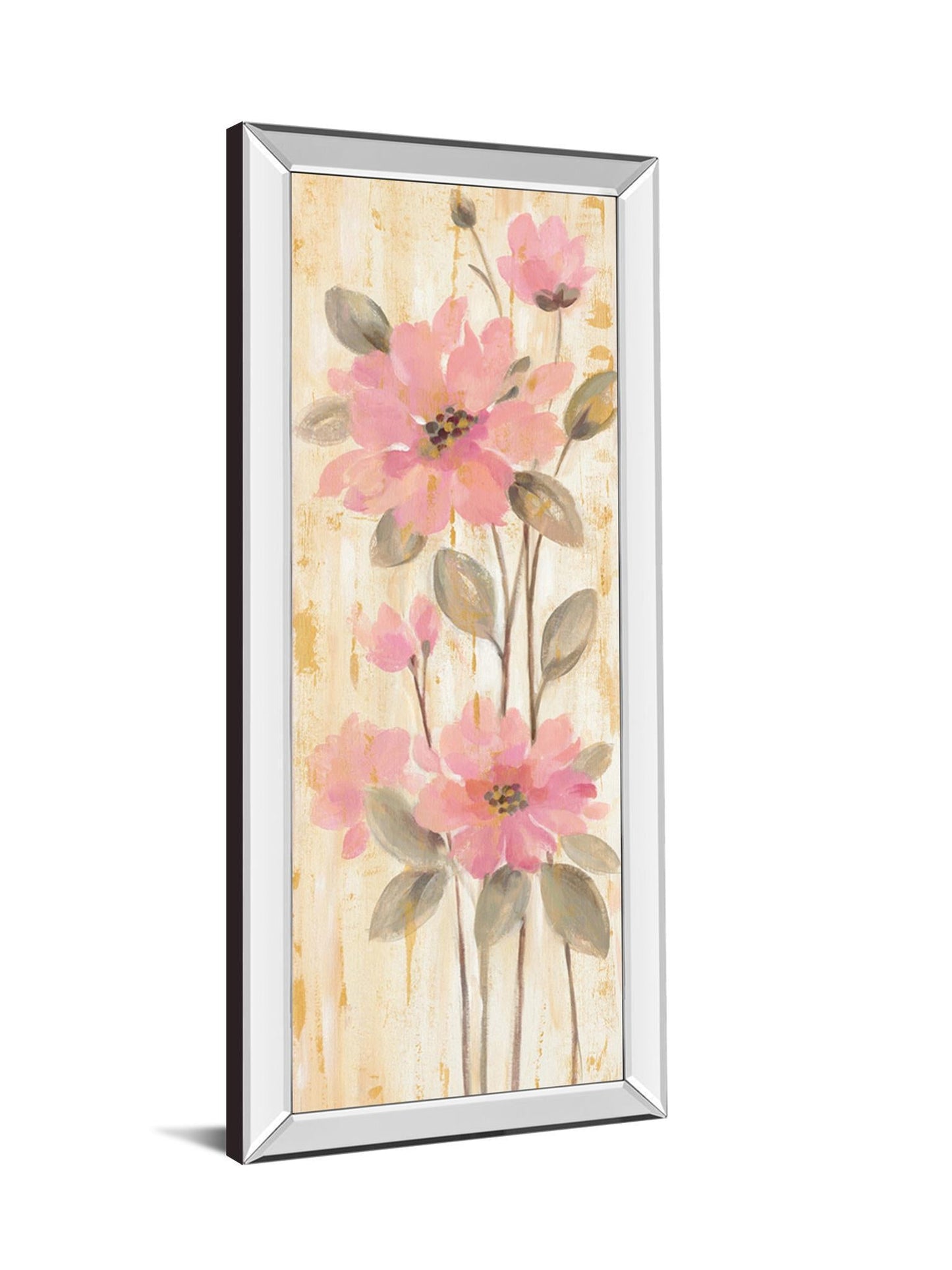 Beautiful Gareden Stems II By Silvia Vassileva - Mirrored Frame Wall Art - Pink Classy Art