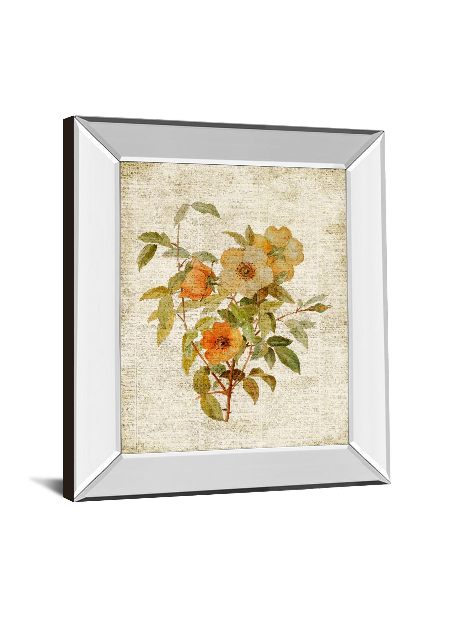 Roses On Newsprint I By Lanie Loreth - Mirror Framed Print Wall Art - Beige Classy Art