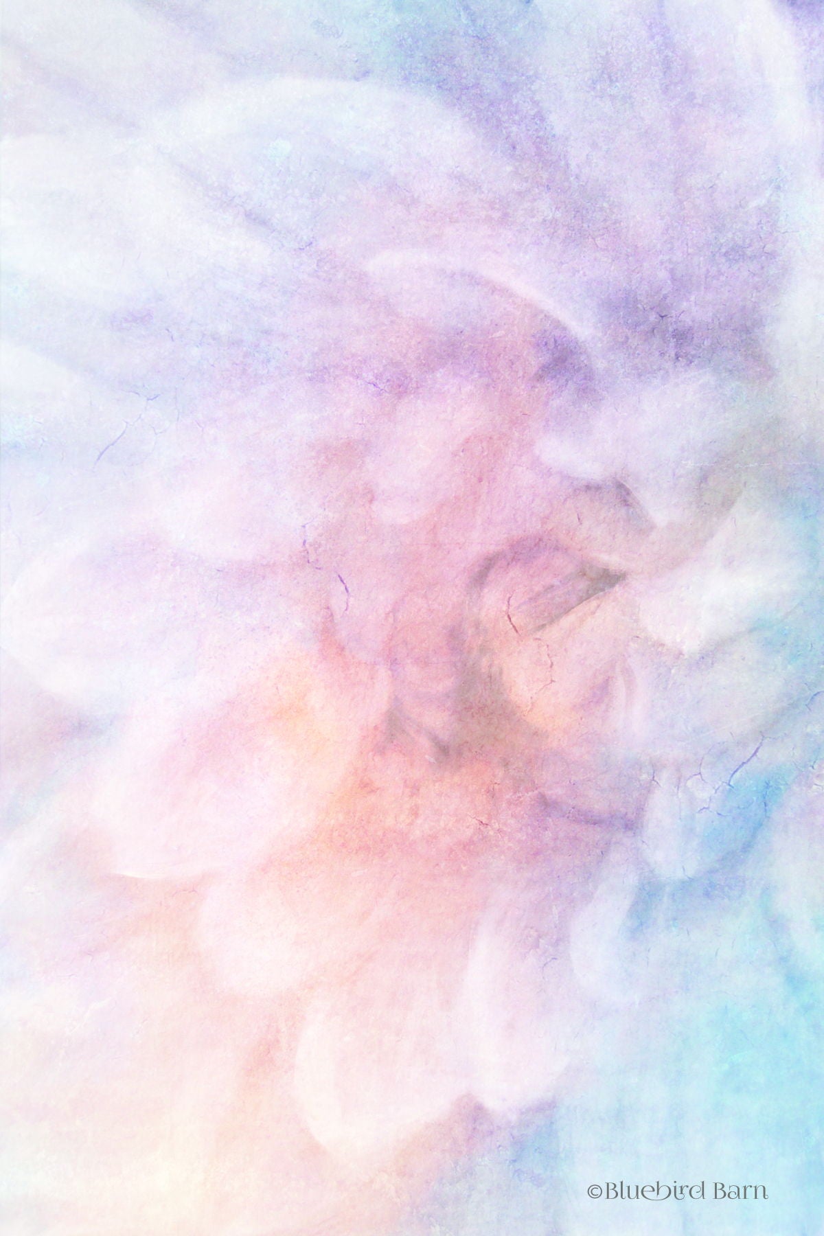 Soft Dahlia Pastel Blue Lilac By Bluebird Barn - Pink Classy Art