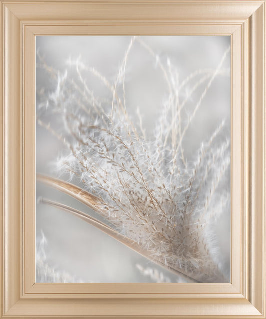 22x26 Summer Wisps II By Irene Weisz - Pearl Silver Classy Art