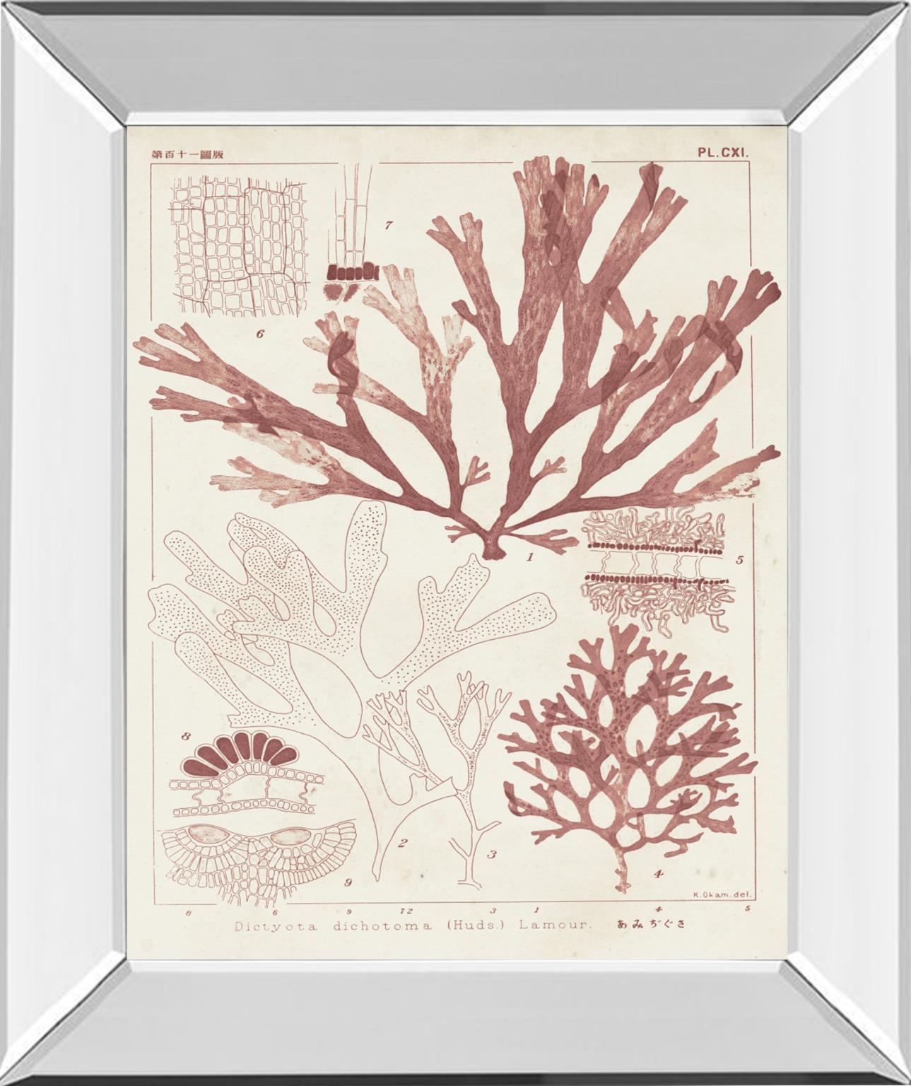 Antique Coral Seaweed IV By Vision Studio - Pink Classy Art