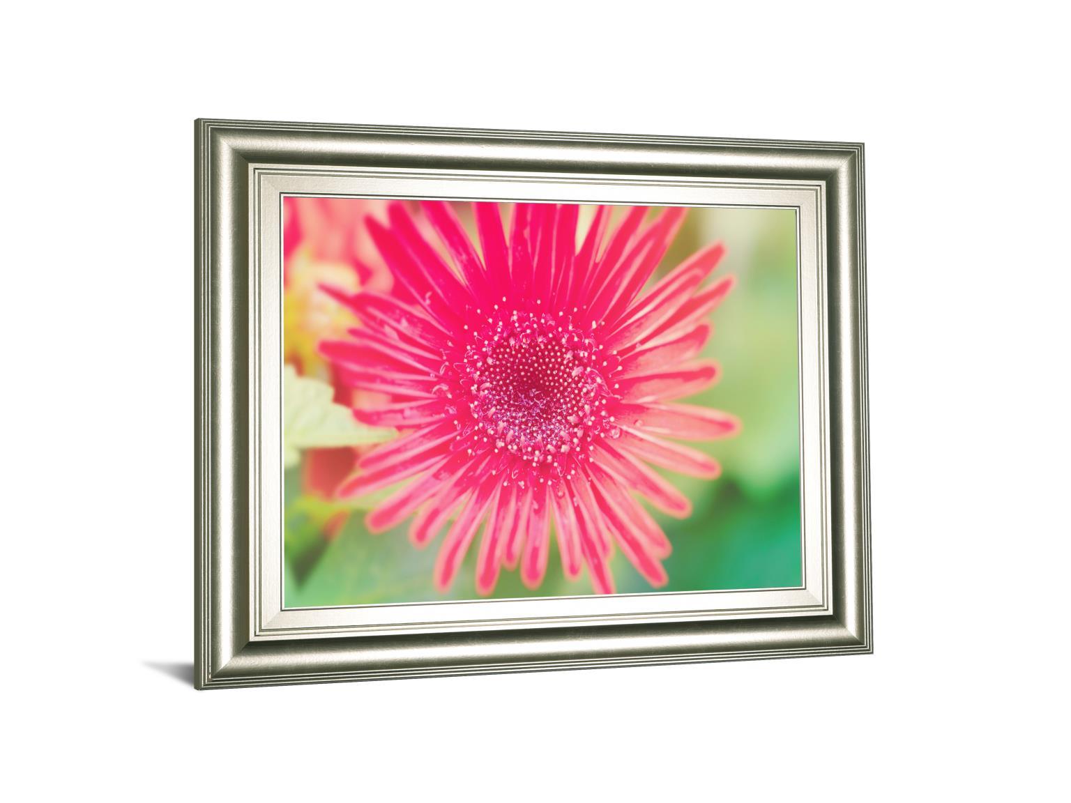 Pink Gerbera By Susan Bryant - Framed Print Wall Art - Pink Classy Art