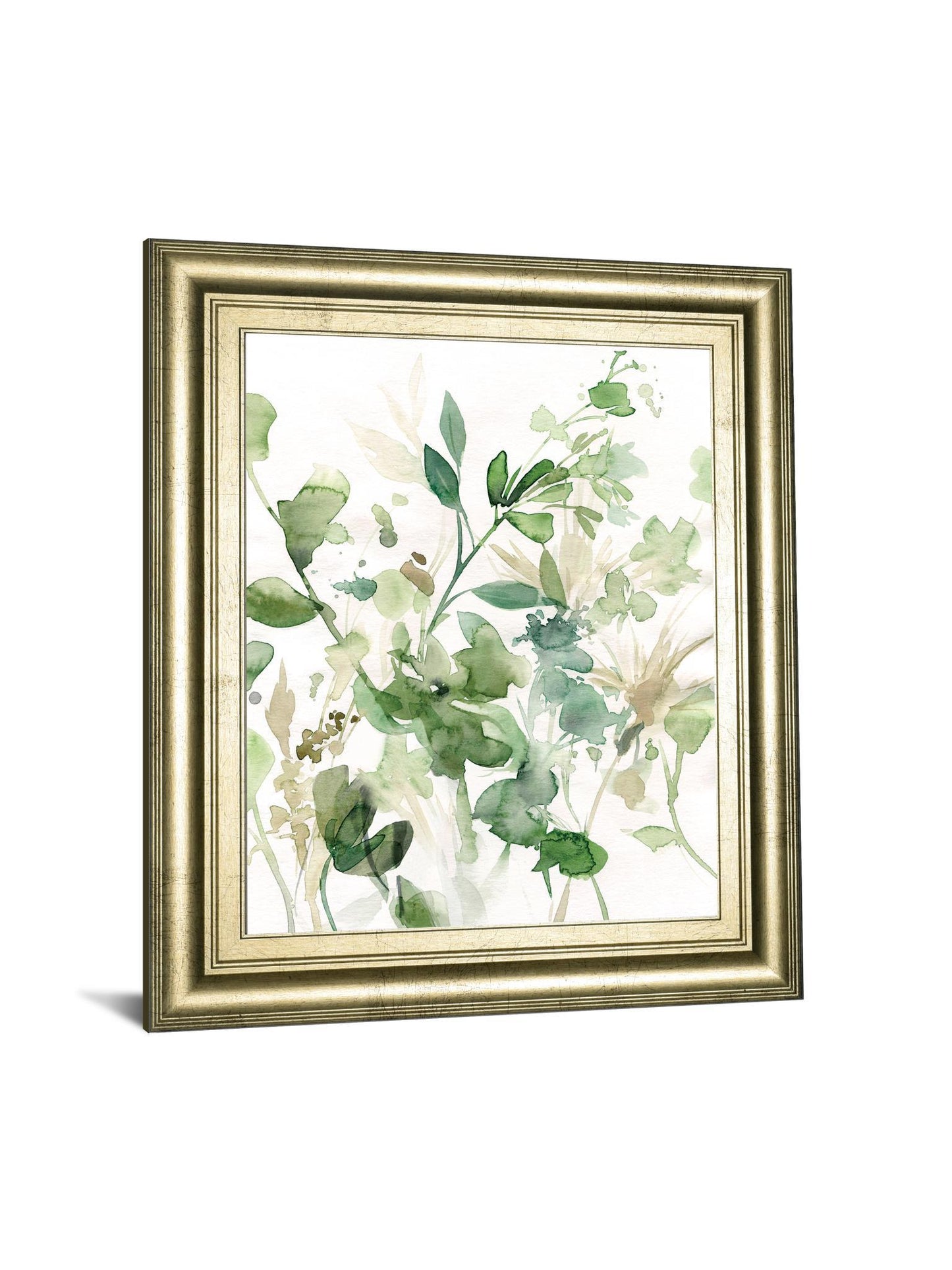 Sage Garden I By Carol Robinson - Framed Print Wall Art - Green Classy Art