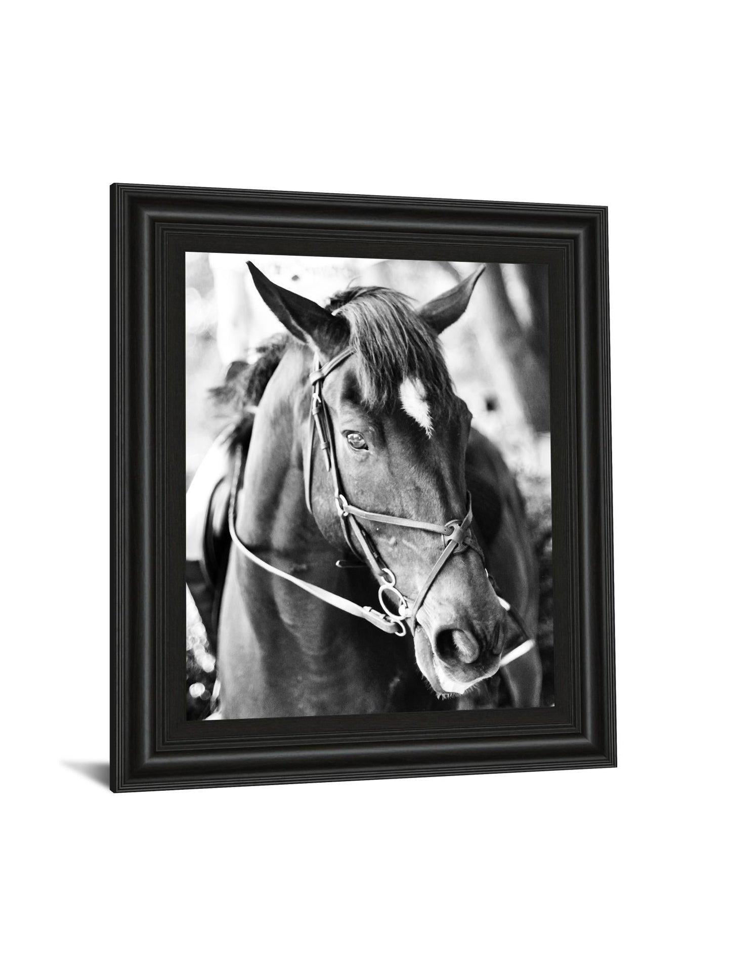 Derby I By Susan Bryant - Framed Print Wall Art - Black Classy Art