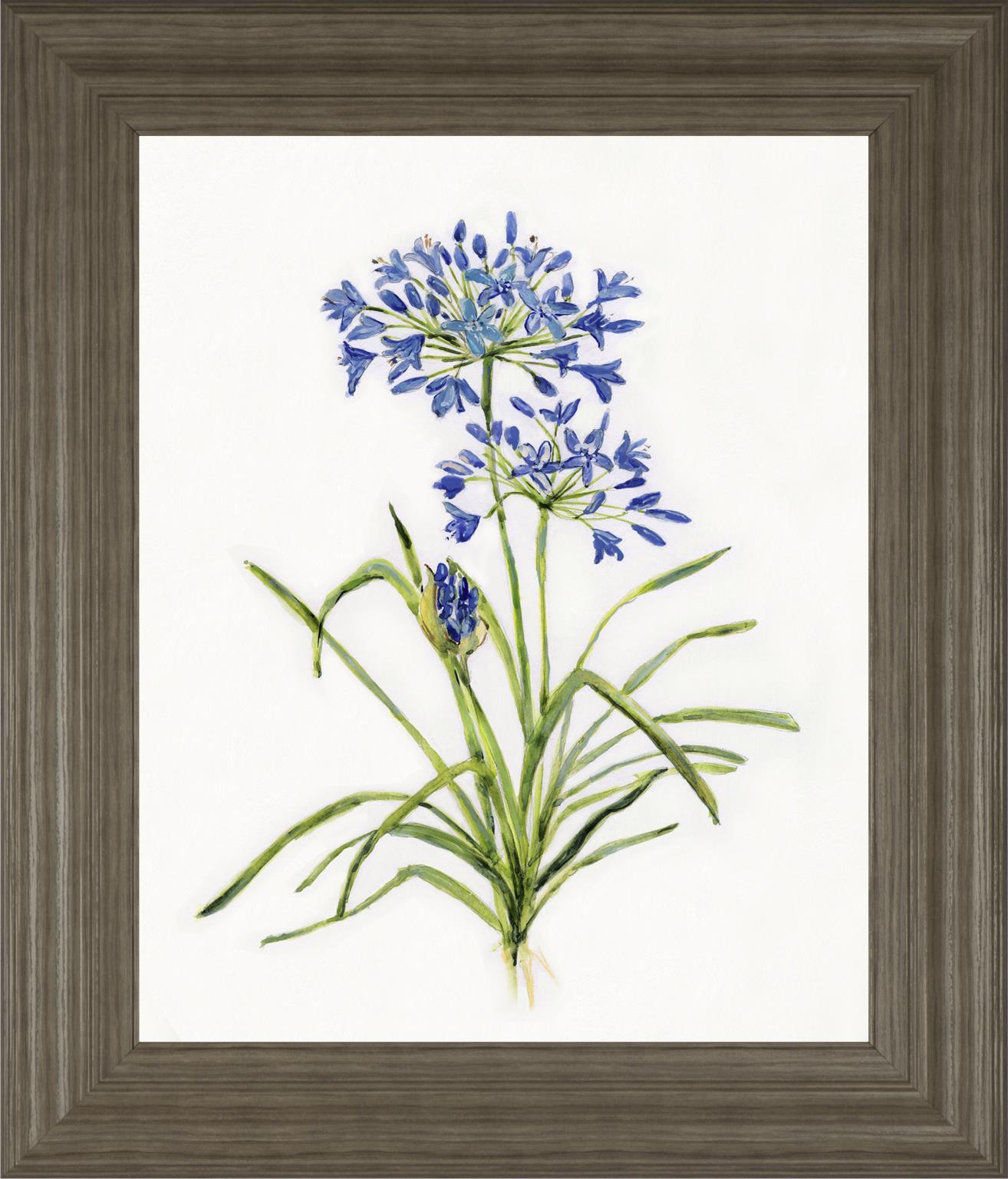 22x26 Blue Lively Botanical I By Sally Swatland - Blue Classy Art