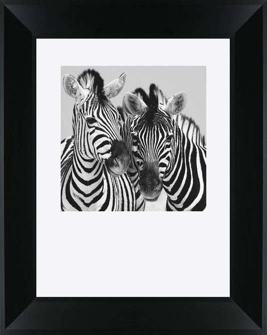 Namibia Zebra By Nina Papiorek - Framed Print Wall Art - White Classy Art