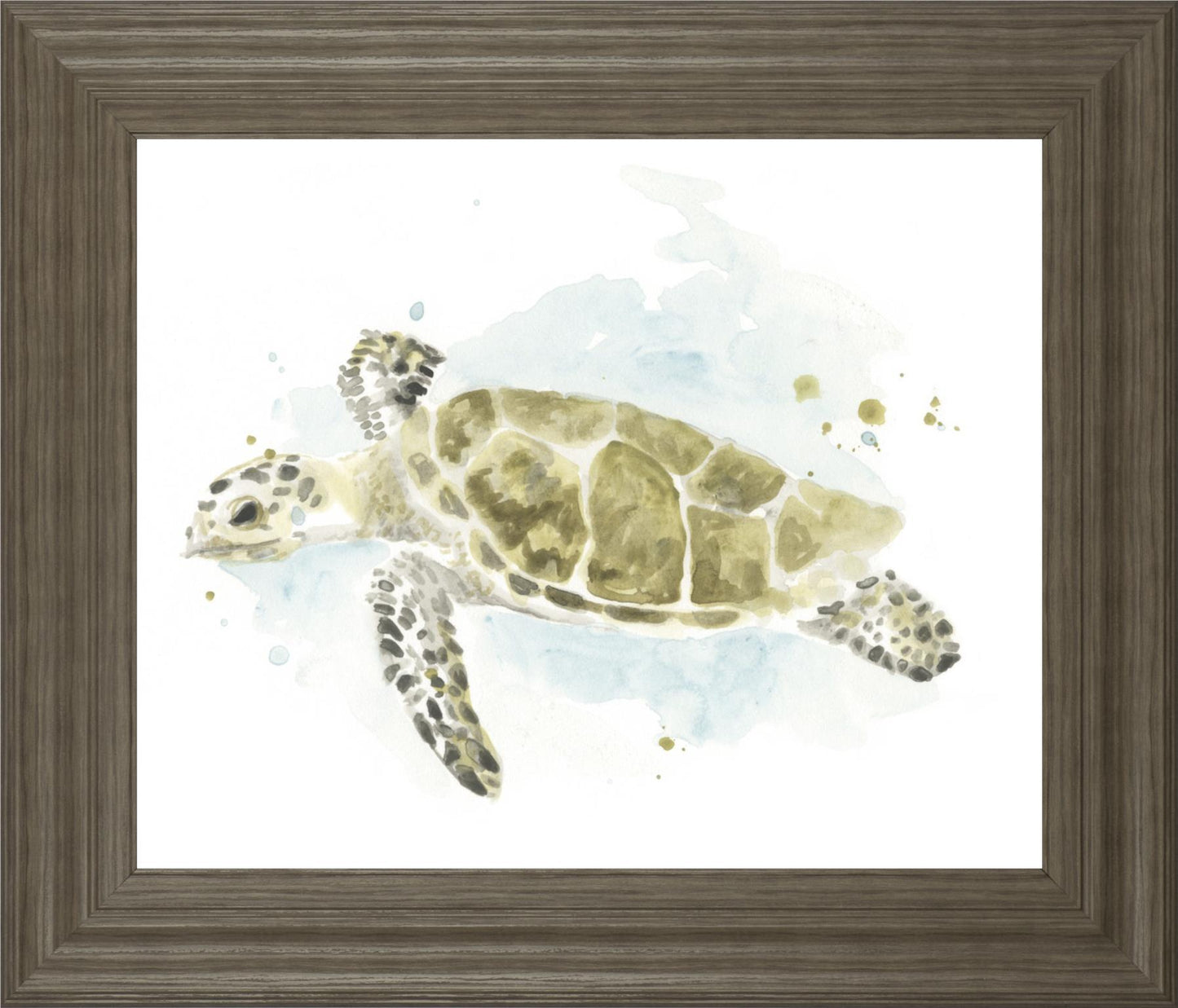 22x26 Watercolor Sea Turtle Study II By June Erica Vess - Dark Green Classy Art