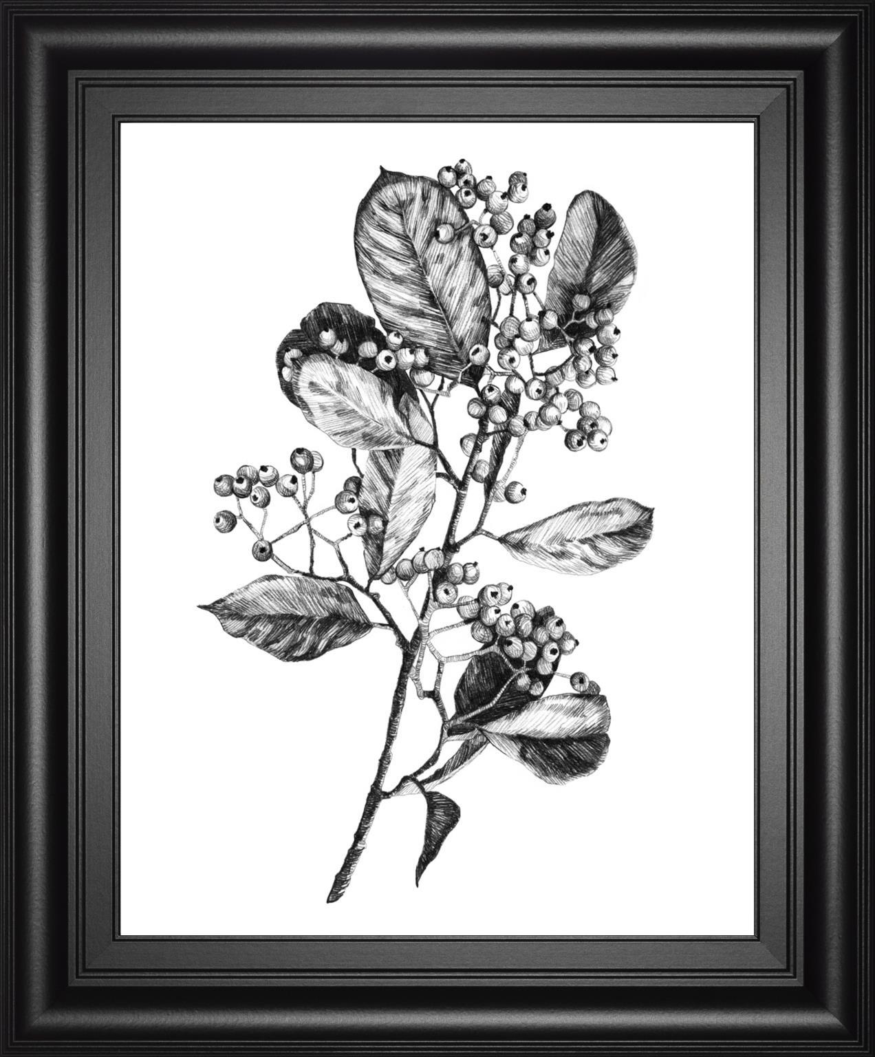 22x26 Hawthorn Berry Branch I By Emma Scarvey - Black Classy Art