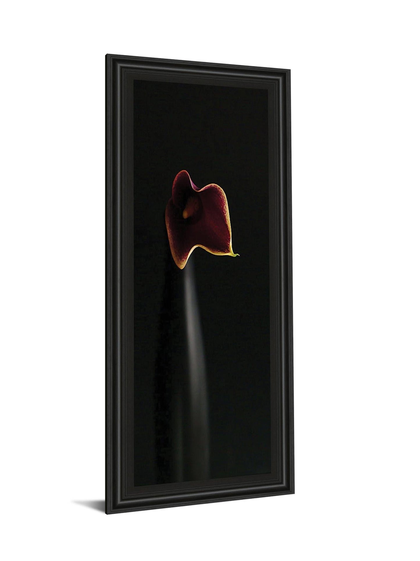 Calla In Ebony By Steven Mitchell - Framed Print Wall Art - Black Classy Art