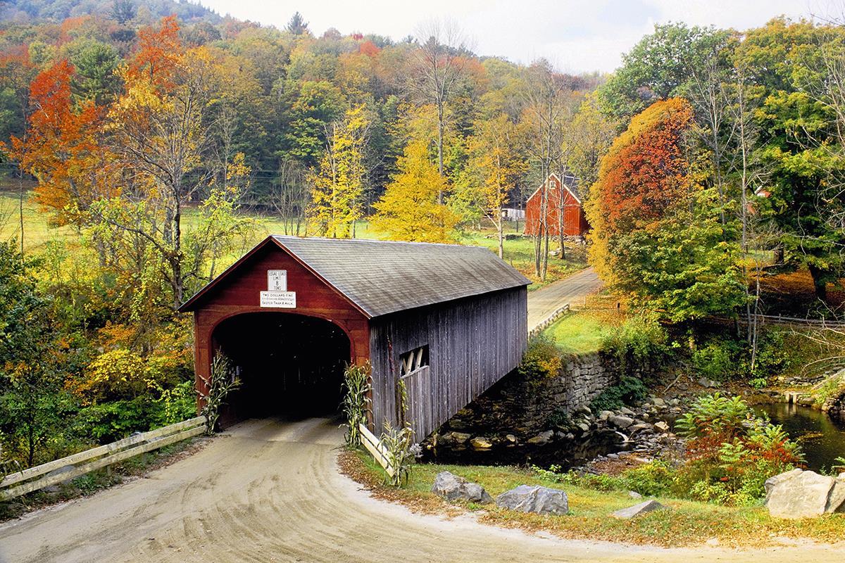 Vermont Covered Bridge By Danita Delimont - Dark Green Classy Art