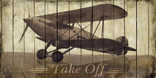 Small - Take Off By Merri Pattinian - Light Brown Classy Art