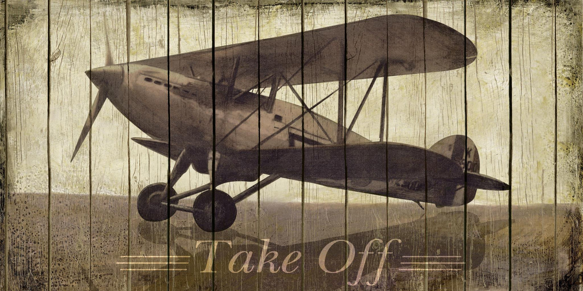 Take Off By Merri Pattinian - Dark Gray Classy Art