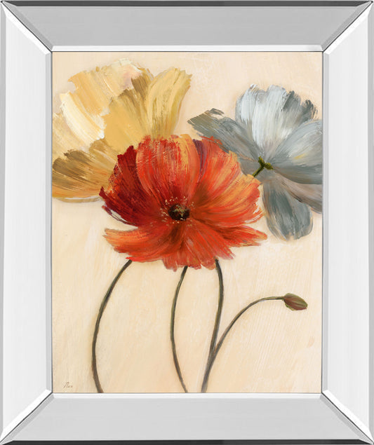 Poppy Palette I By Nan - Mirror Framed Print Wall Art - Red Classy Art