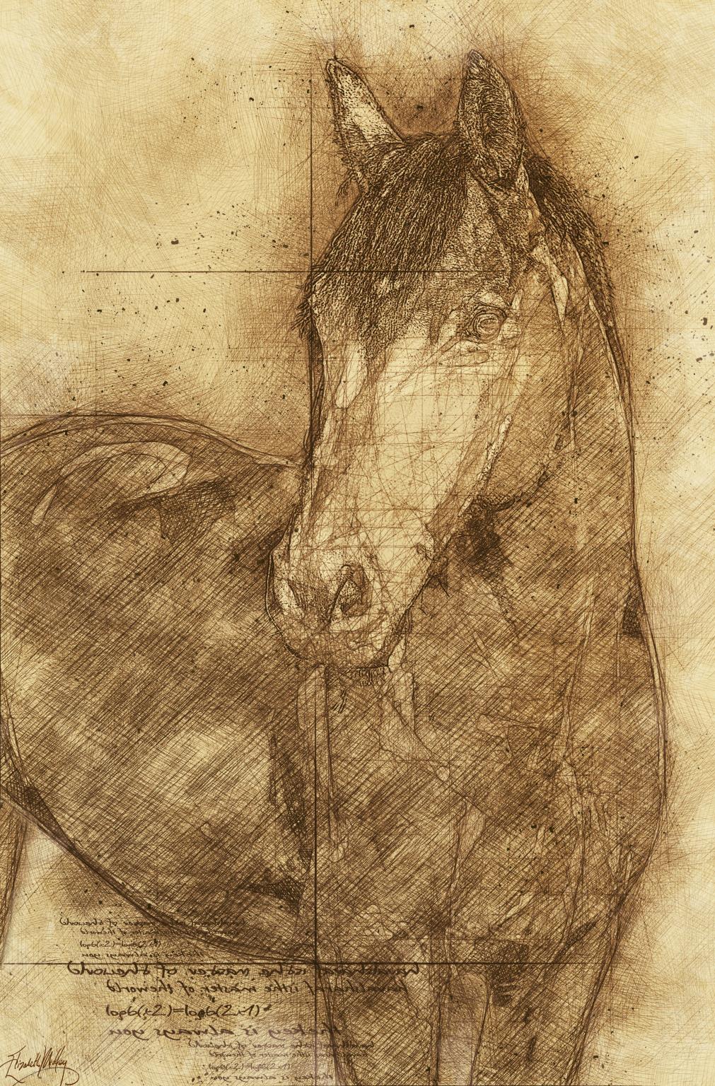 Small - Sketched Horse By Elizabeth Medley - Light Brown Classy Art