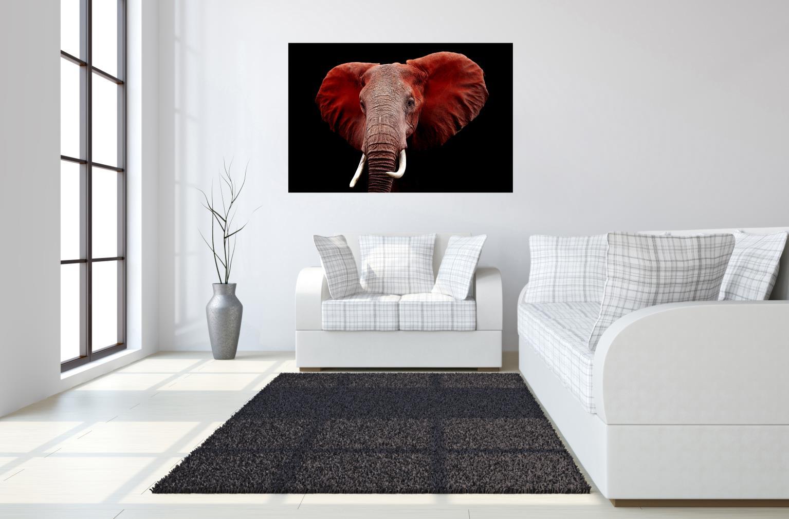 Tempered Glass Plus Foil Elephant - Red Classy Art