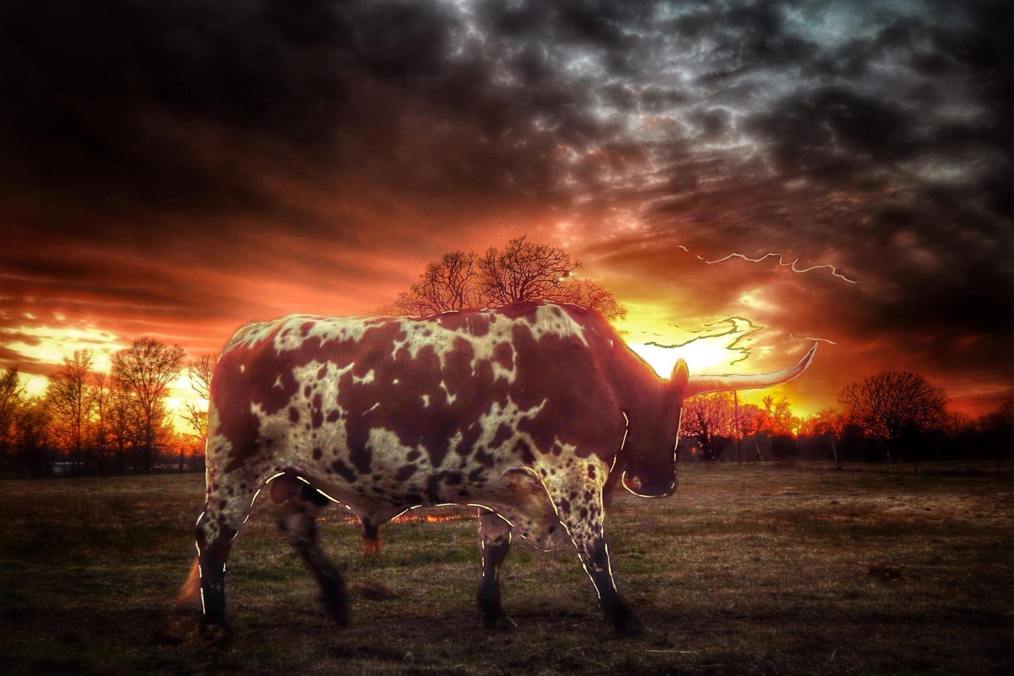 Tempered Glass With Foil - Longhorn At Sunset - Dark Brown Classy Art