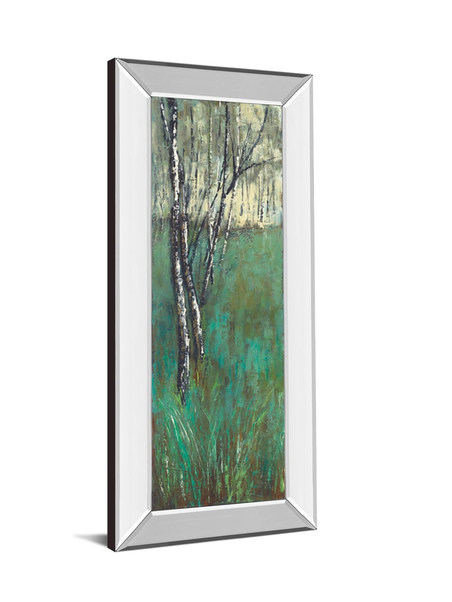 Nature Companion I By Solis - Mirror Framed Print Wall Art - Blue Classy Art