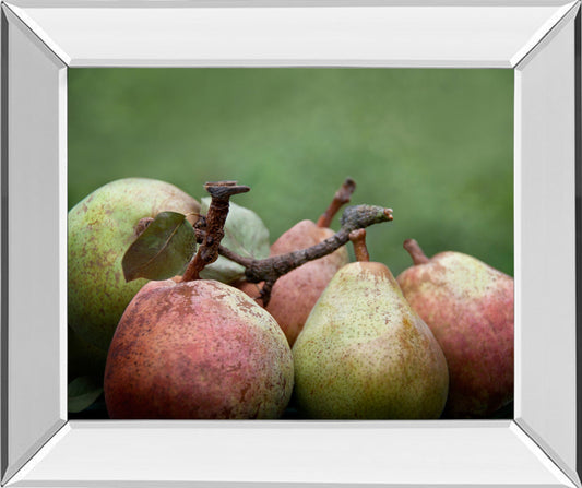 Comice Pear Il By Rachel Perry - Mirror Framed Print Wall Art - Green Classy Art