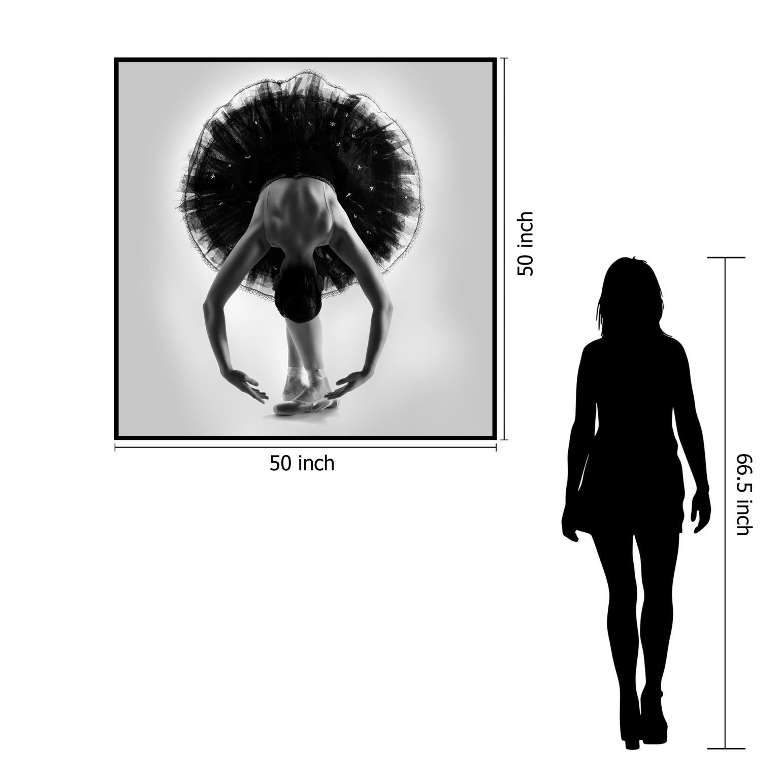 Floating Tempered Glass With Foil Ballerine In Black - Dark Gray Classy Art