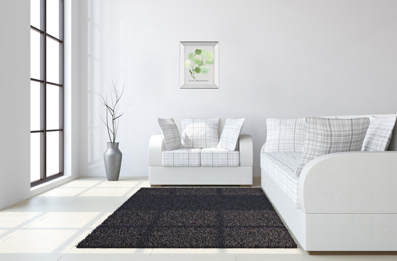 Pilea Peperomioides By Katrien Soeffers - Mirror Framed Print Wall Art - Green Classy Art