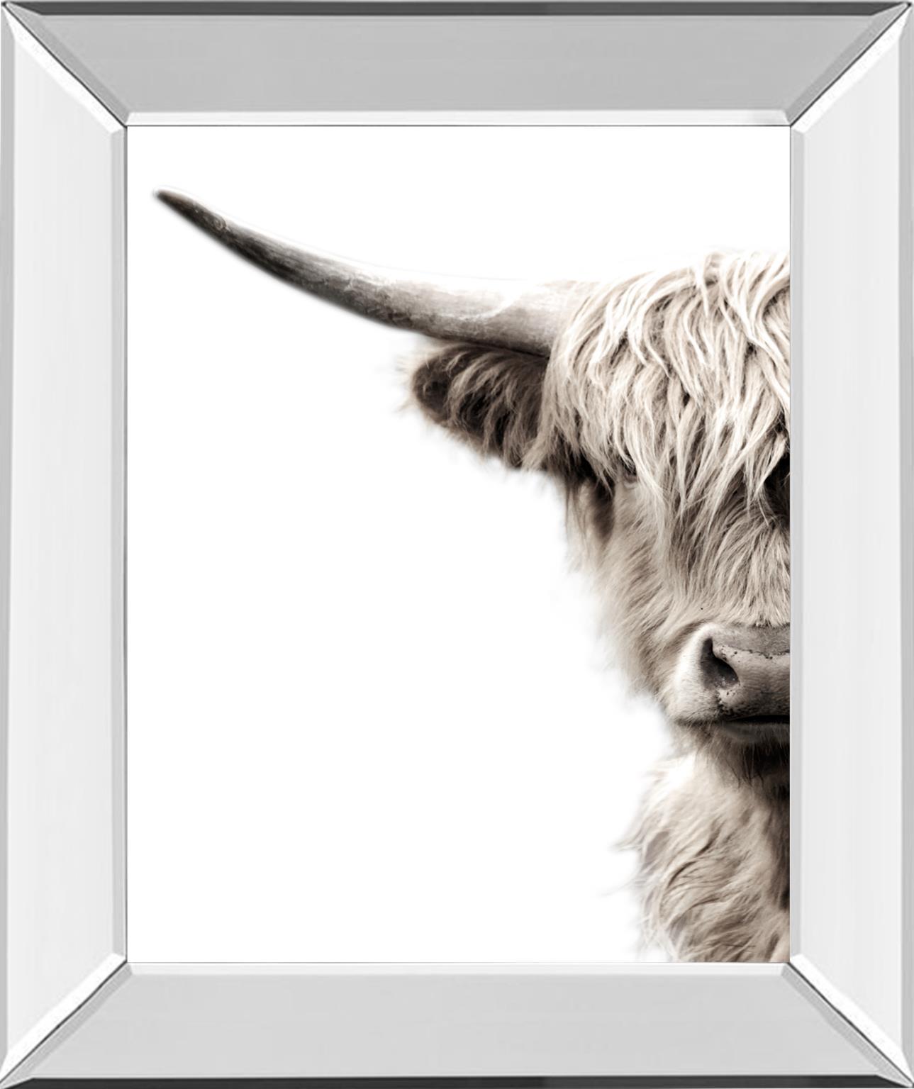 Highland Cattle By Danita Delimont - Dark Gray Classy Art