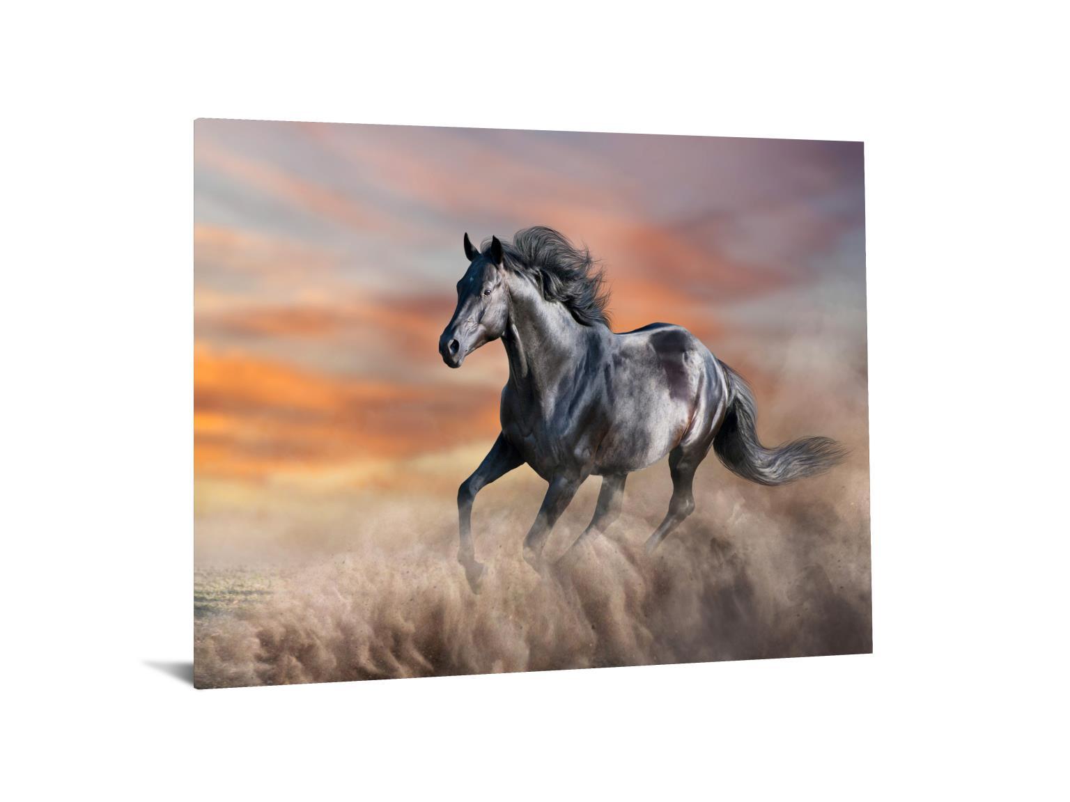 Tempered Glass With Foil - Running Horse - Dark Gray Classy Art