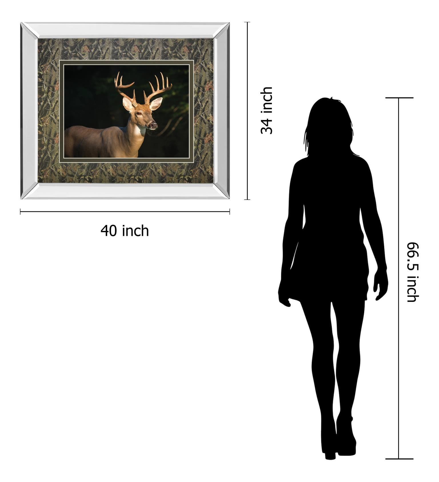 White Tail Buck By Tony Campbell Double Matted - Mirror Framed Print Wall Art - Black Classy Art