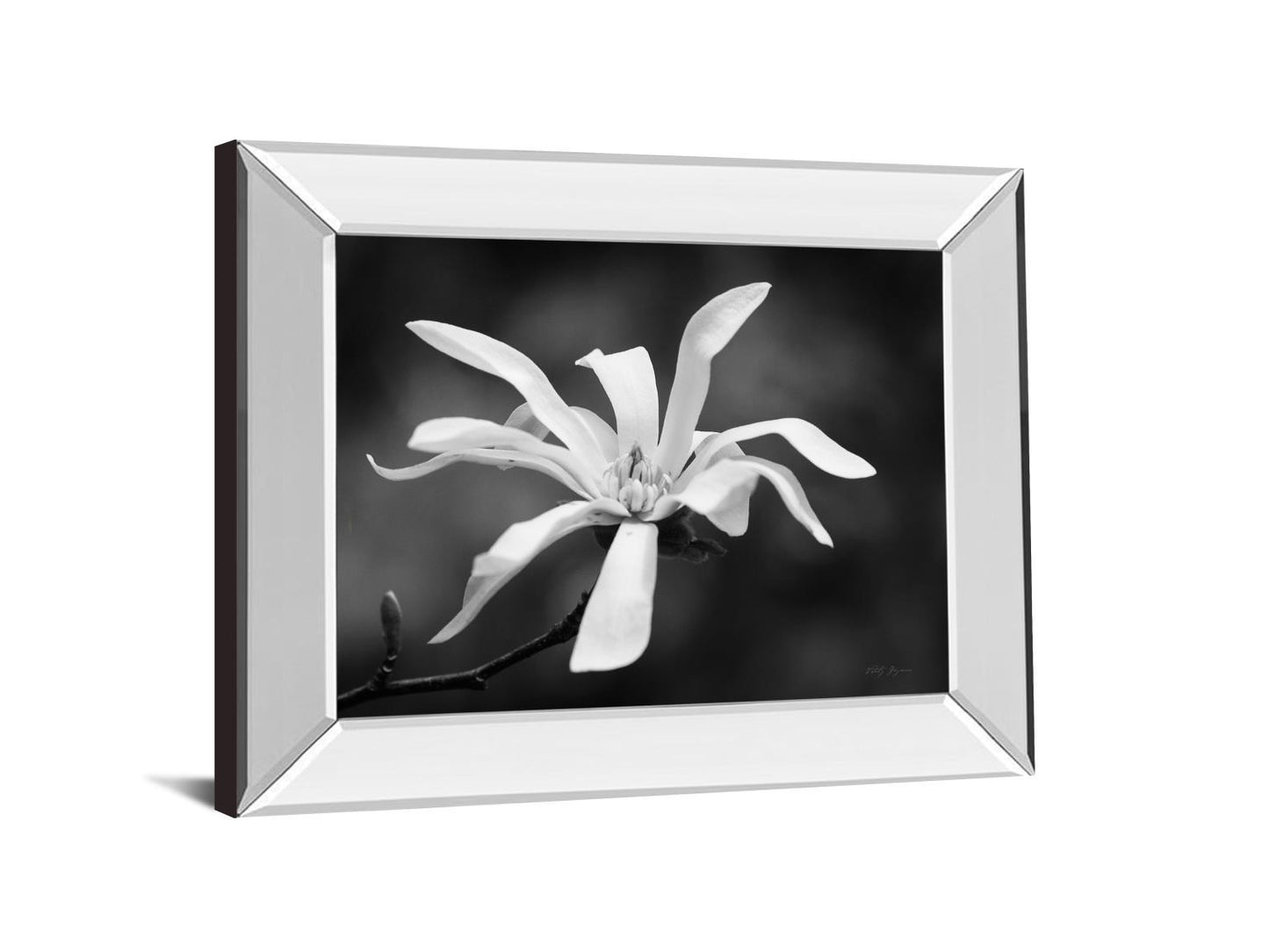 Magnolia Dreams I By Geyman Vitaly - Mirror Framed Print Wall Art - White Classy Art