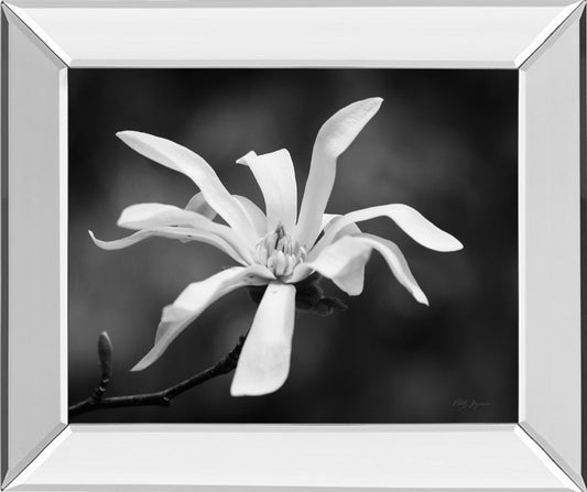 Magnolia Dreams I By Geyman Vitaly - Mirror Framed Print Wall Art - White Classy Art