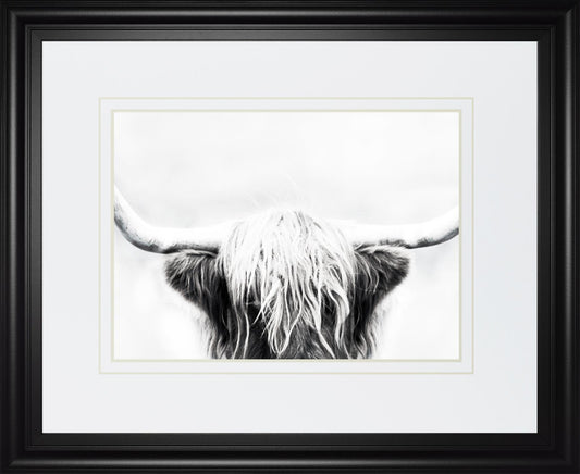 34x40 Longhorn By Danita Delimont - Dark Gray Classy Art