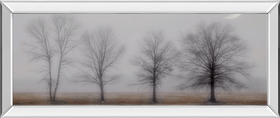 Early December By Jacks H. - Mirrored Frame Wall Art - Light Gray Classy Art