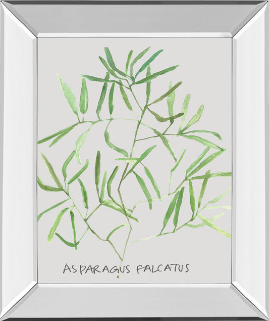 Asparogus Falcatus By Katrien Soeffers - Mirror Framed Print Wall Art - Green Classy Art