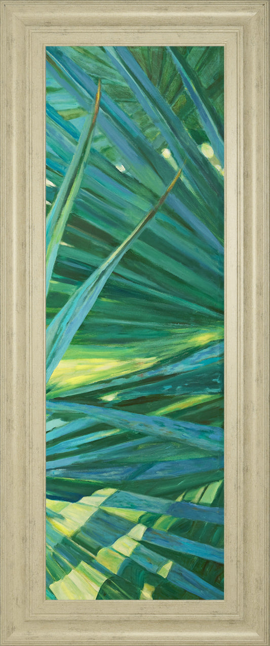 Fan Palm II By Suzanne Wilkins - Framed Print Wall Art - Green Classy Art