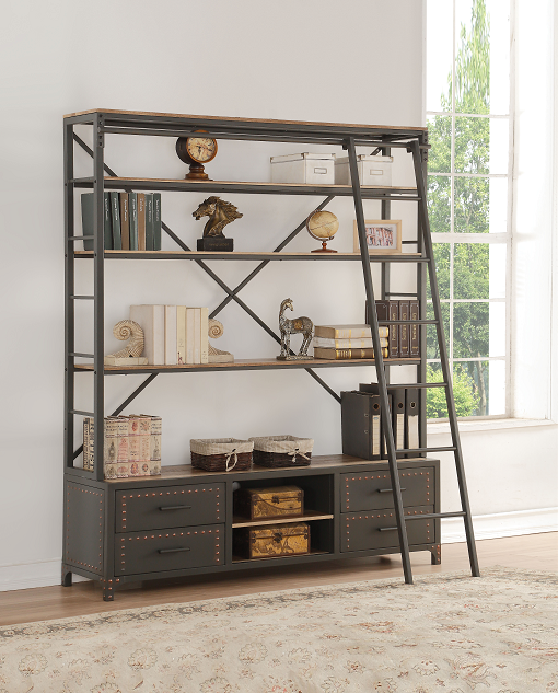 Actaki Sandy Gray Bookshelf & Ladder ACME East